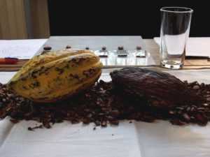 20 chilangos fueron convocados para probar el nuevo sabor