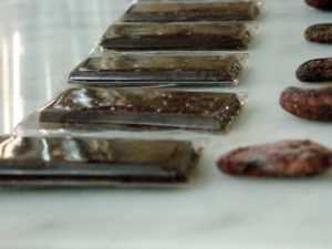 Nuevas variedades de cacao