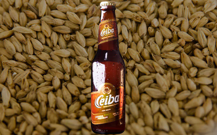 Cerveza artesanal Ceiba