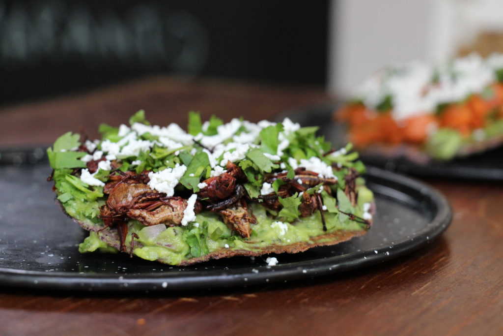 Tostada de chapulines