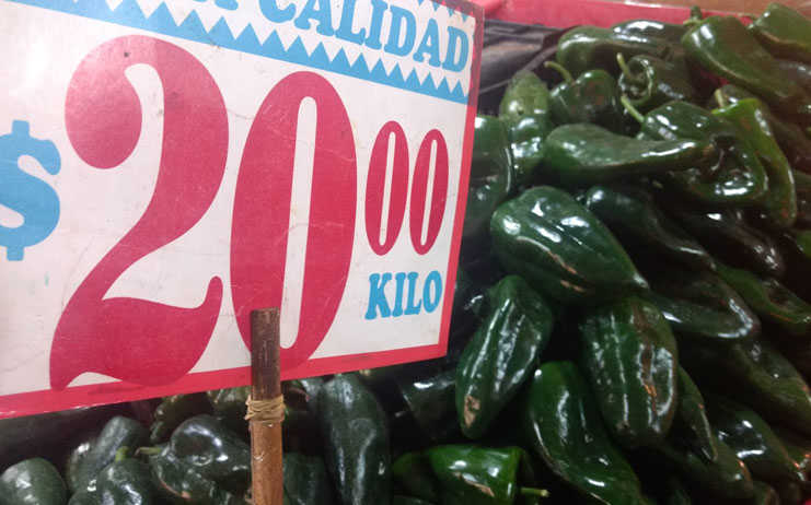 Cocina tus chiles en nogada.