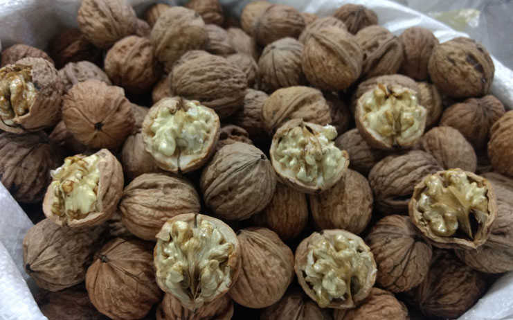 Cocina tus chiles en nogada.