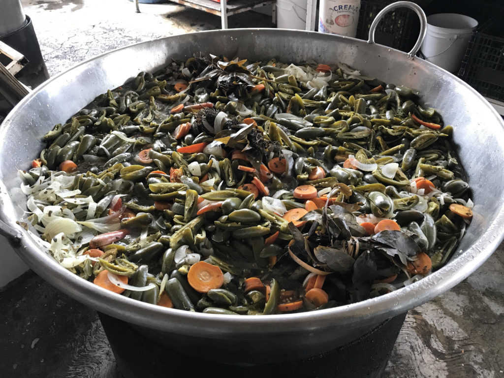 Rajas de Tortas Gigantes Sur 12