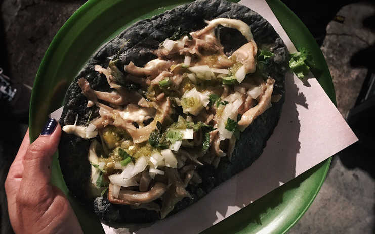 Quesadilla de hongos con queso