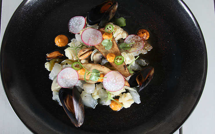 Tostada de pata Alipús