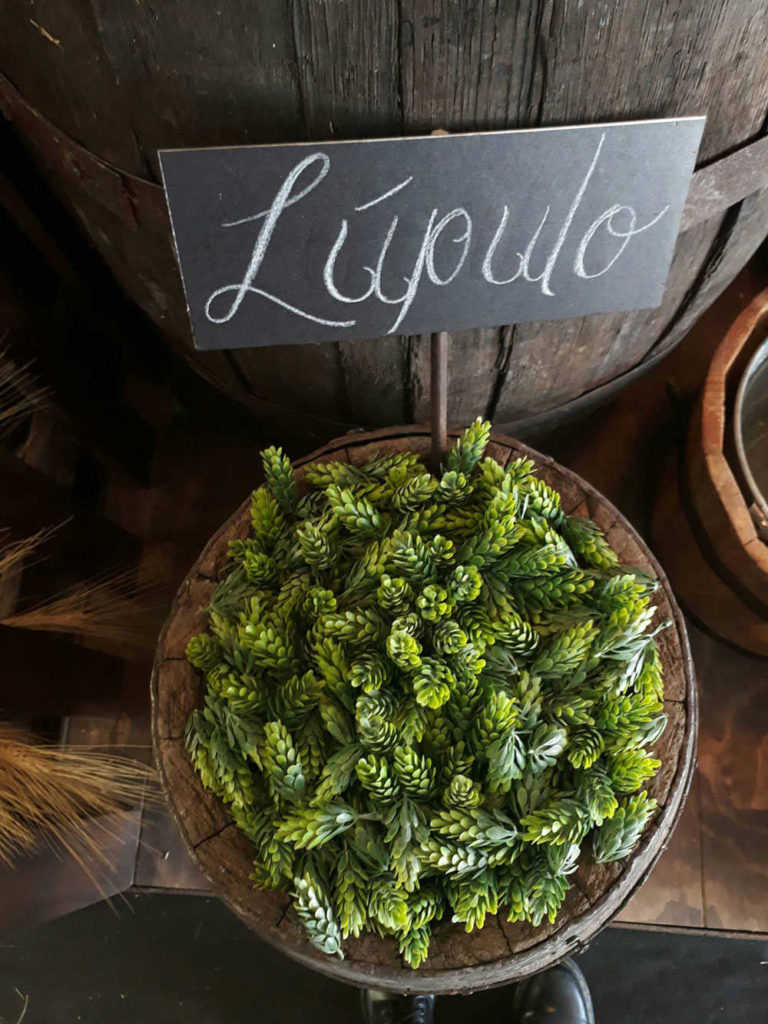 cerveza ambar y lager 