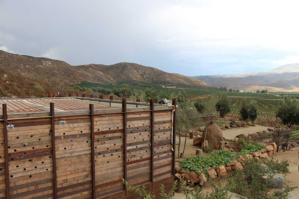 Bruma en Valle de Guadalupe