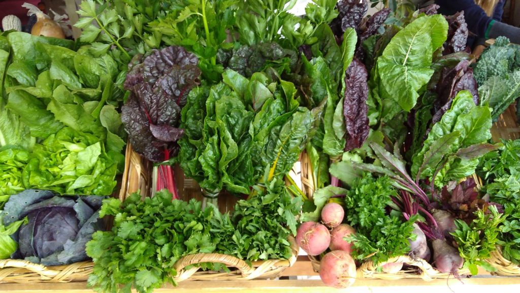 Lechugas Tianquiskilitl