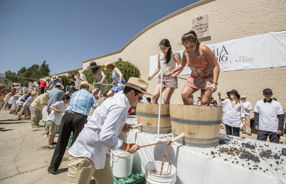 Fiestas de la vendimia en México